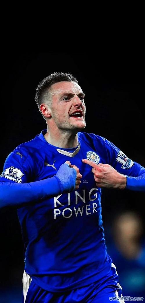 范尼：曼城实力有目共睹 盼望瓦尔迪早日回归