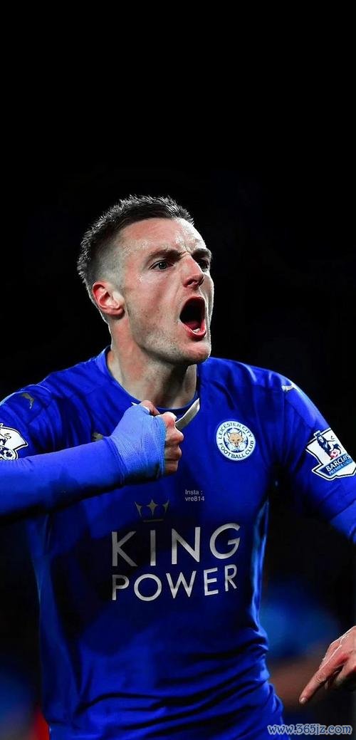 范尼：曼城实力有目共睹 盼望瓦尔迪早日回归